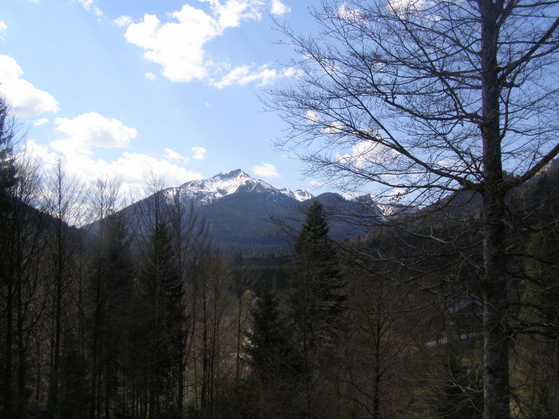 pohled na Alpy