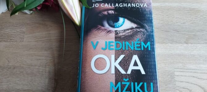 V jediném okamžiku – recenze