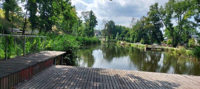 Čekalíkovský rybník – fotočlánek